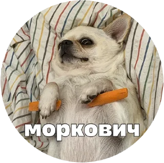 🥕
