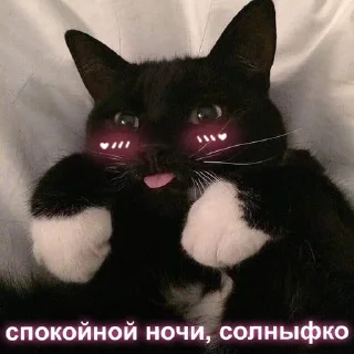 😴