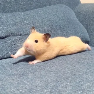 🤗
