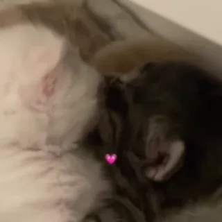 💋