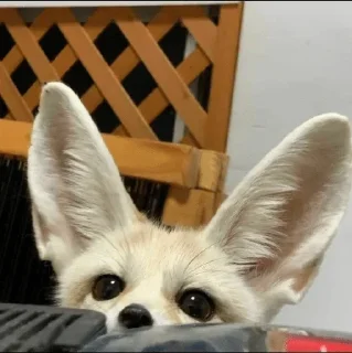 😶