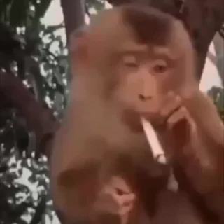 🚬