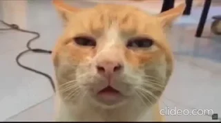😑