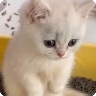 😥