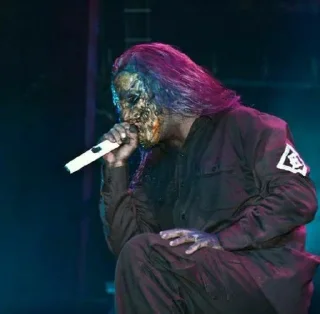 🎤
