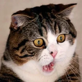 😱