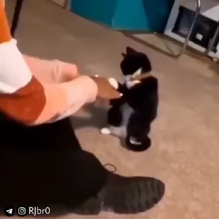 😂