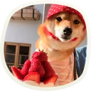 🍓