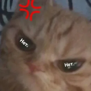 😡