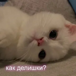 ❔