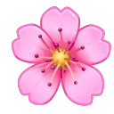 🌺