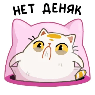 🙈