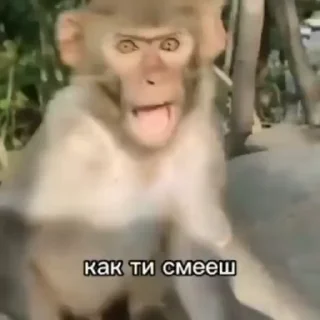 😳