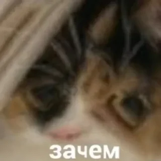 👀