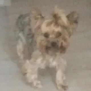 😐