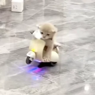 🤪