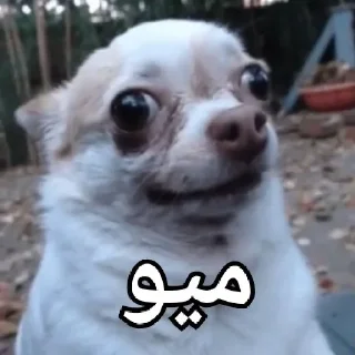 😐