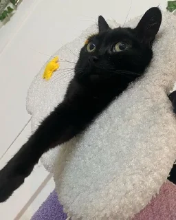 😒