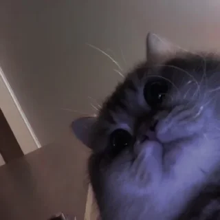 💗