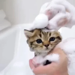 🛁