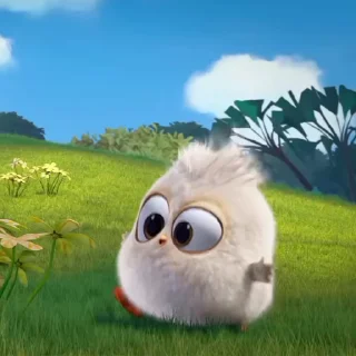 🐣
