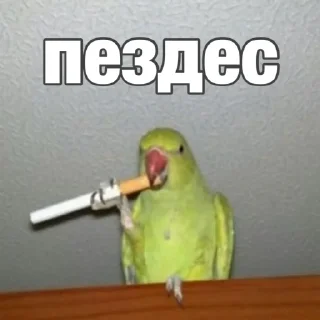 🥲