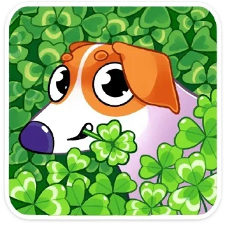 🍀