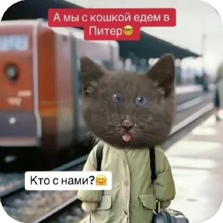 👍