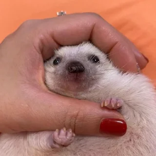 😐