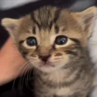 🤗