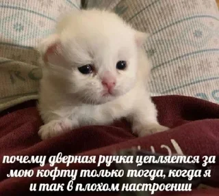 🥲