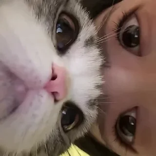 👀