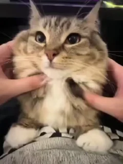 😠