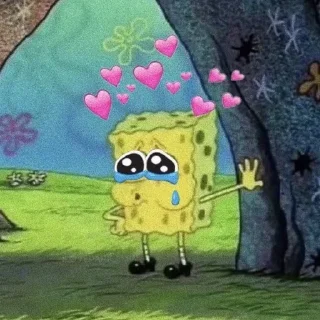 🧽