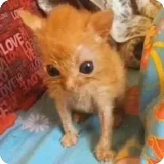 😐