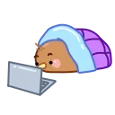 💻