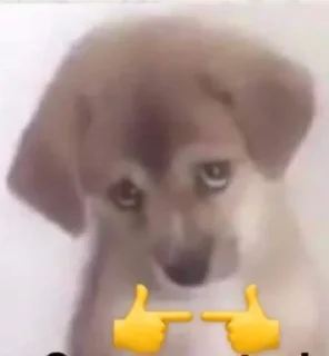 🥺
