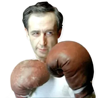 🥊