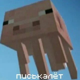 🐷