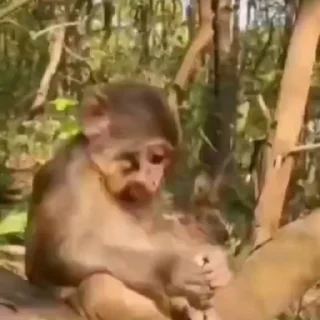 🤨