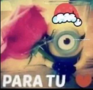 🌹