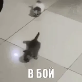 ⚔