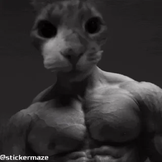 ᯽ CATS│@laddukadabba2│@stickermaze᯽
