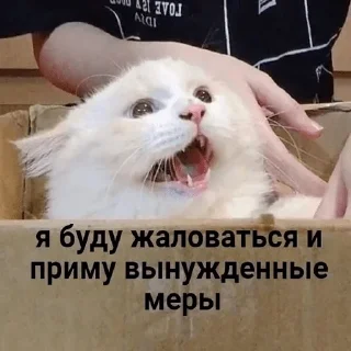 🙄
