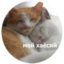 💑