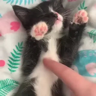 😌