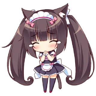 😿