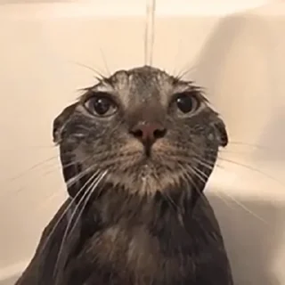 😑
