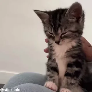 😊