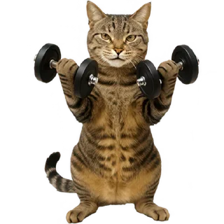💪